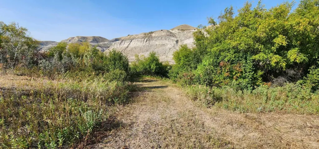 4;18;27;21;N Lot 6 & 10 Drumheller AB T0J 0Y0