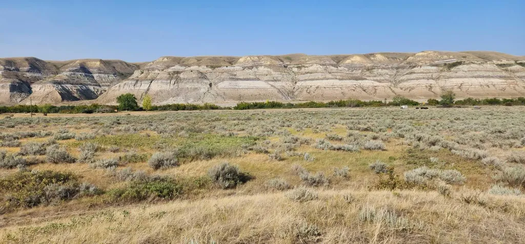 4;18;27;21;N Lot 6 & 10 Drumheller AB T0J 0Y0