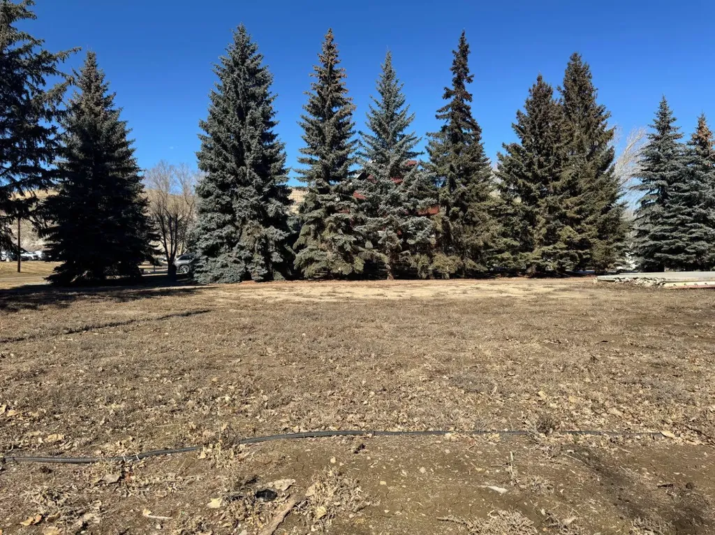 170 9 Street NW Drumheller AB T0J 0Y1