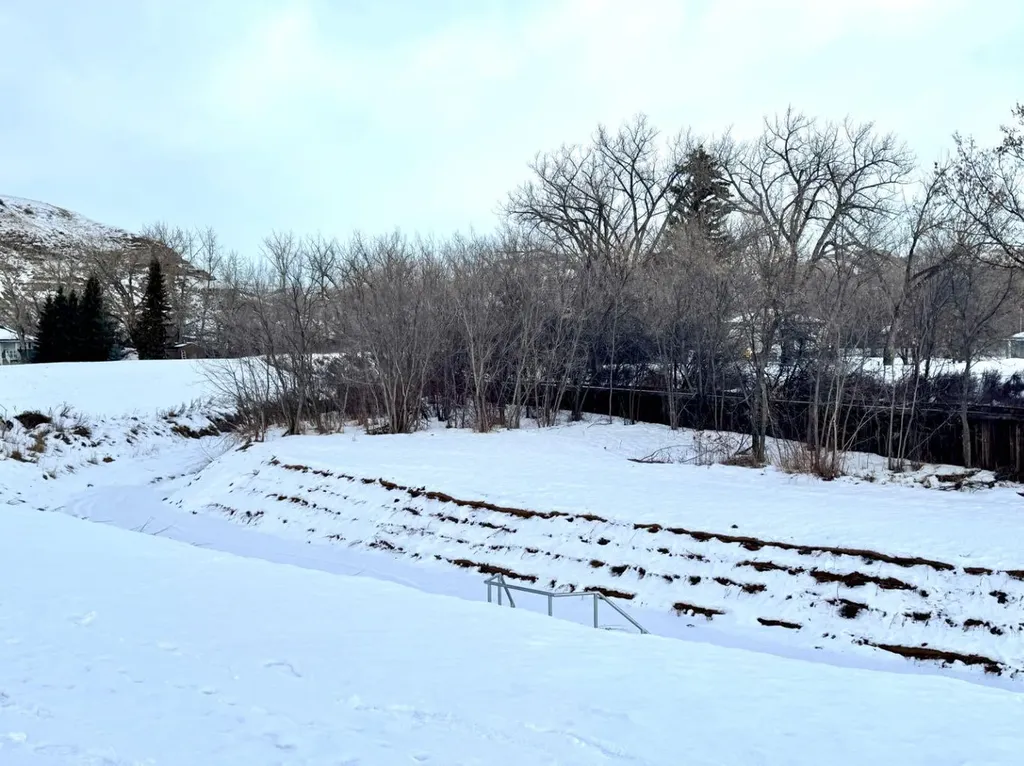 170 9 Street NW Drumheller AB T0J 0Y1