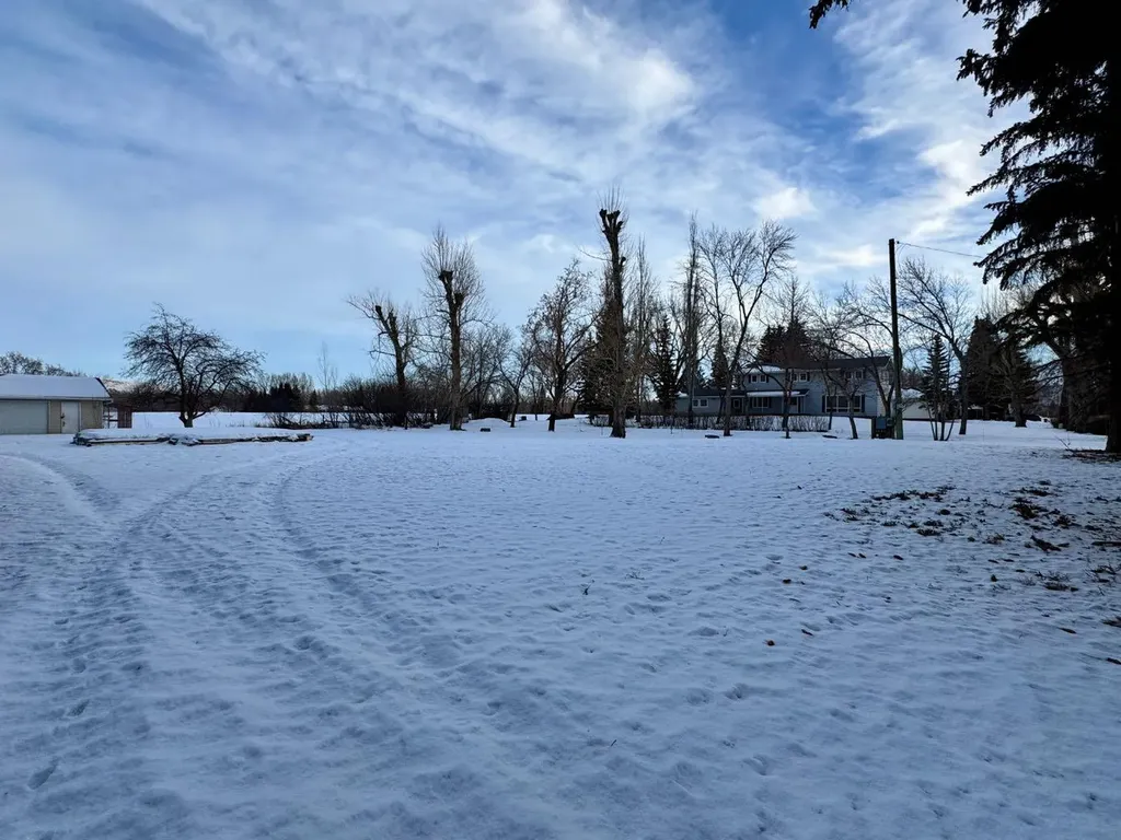 170 9 Street NW Drumheller AB T0J 0Y1