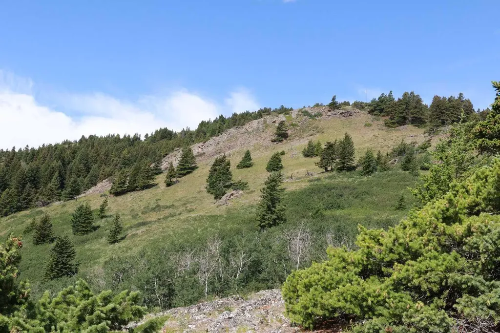 Highway 774 Rural Pincher Creek No. 9 M.d. Of AB T0K 1W0