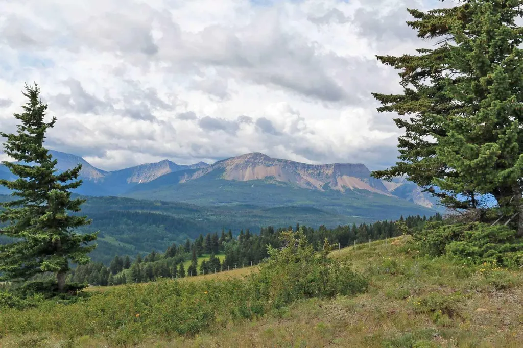 Highway 774 Rural Pincher Creek No. 9 M.d. Of AB T0K 1W0