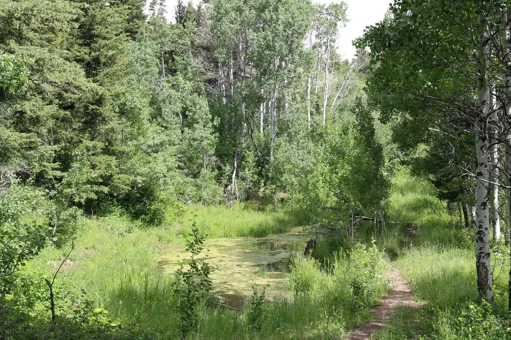 Highway 774 Rural Pincher Creek No. 9 M.d. Of AB T0K 1W0
