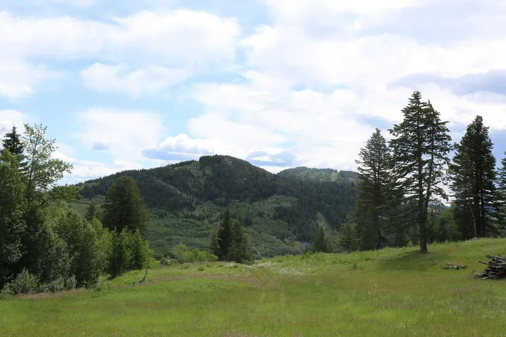 Highway 774 Rural Pincher Creek No. 9 M.d. Of AB T0K 1W0