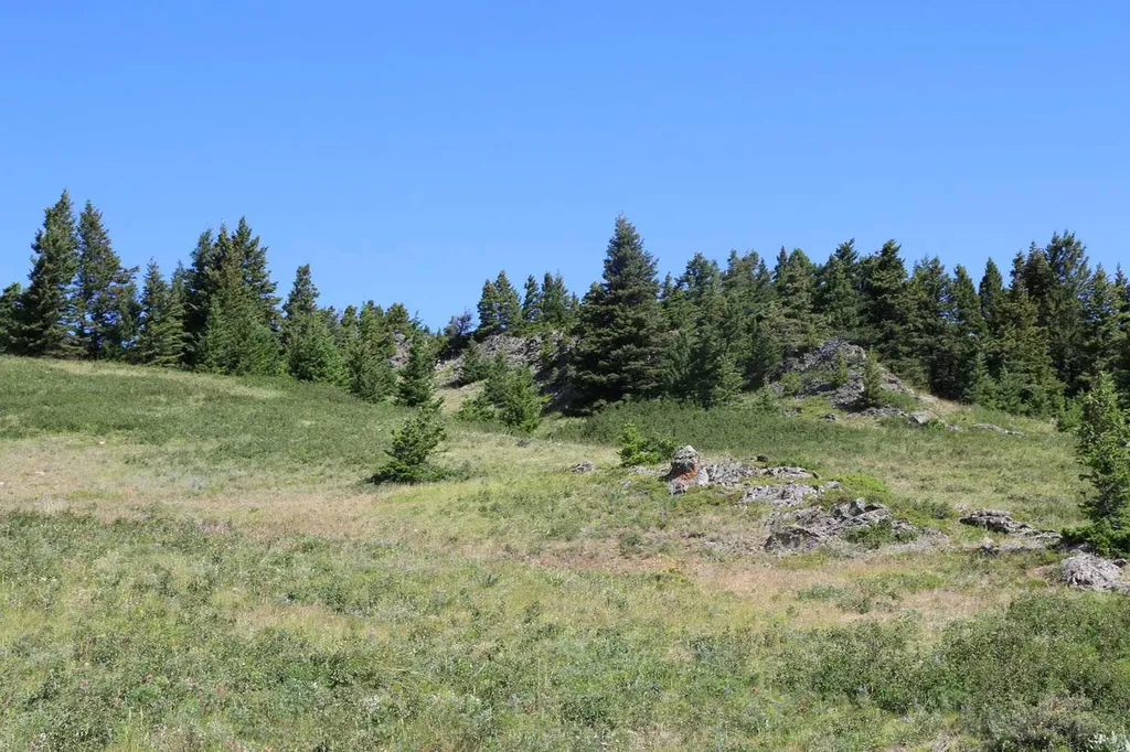 Highway 774 Rural Pincher Creek No. 9 M.d. Of AB T0K 1W0