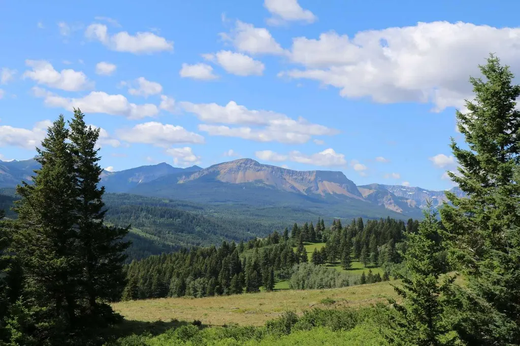 Highway 774 Rural Pincher Creek No. 9 M.d. Of AB T0K 1W0