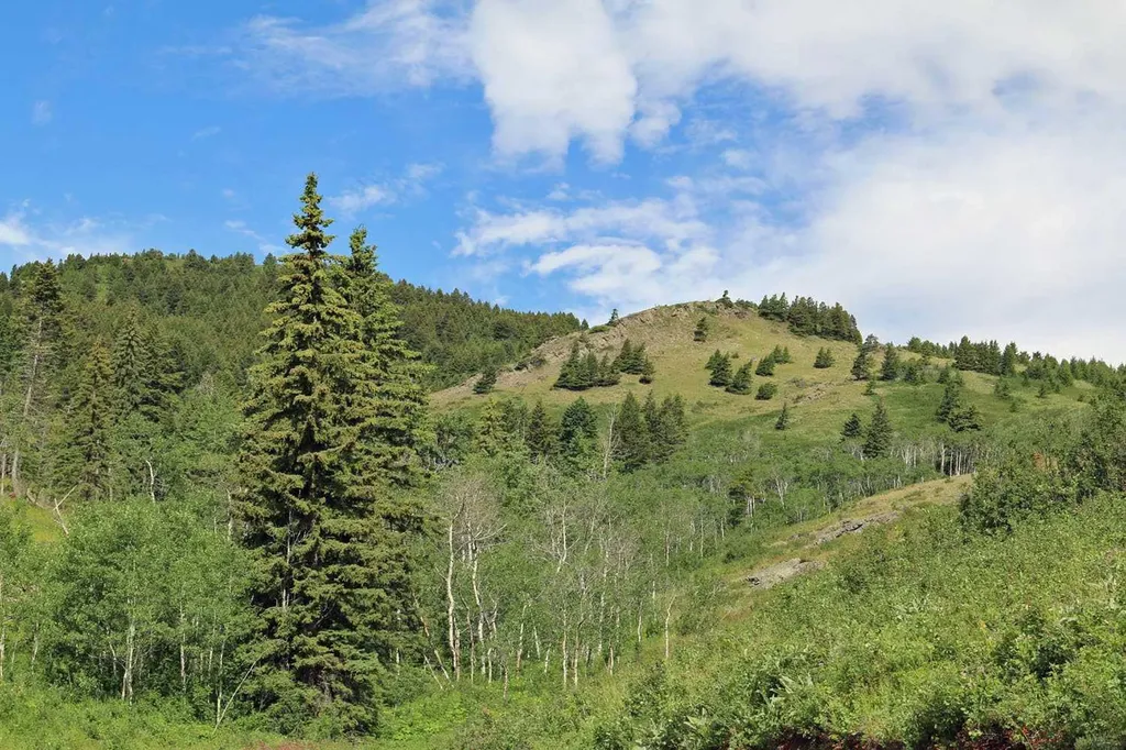 Highway 774 Rural Pincher Creek No. 9 M.d. Of AB T0K 1W0