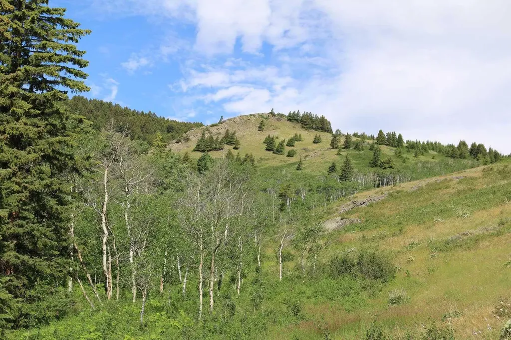 Highway 774 Rural Pincher Creek No. 9 M.d. Of AB T0K 1W0