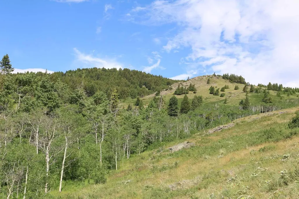 Highway 774 Rural Pincher Creek No. 9 M.d. Of AB T0K 1W0