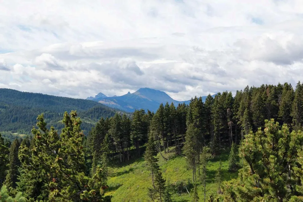 Highway 774 Rural Pincher Creek No. 9 M.d. Of AB T0K 1W0