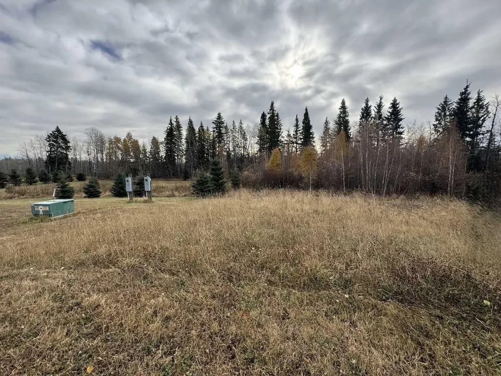 15015 Township Road 424 Township Rural Ponoka County AB T0B 0H0