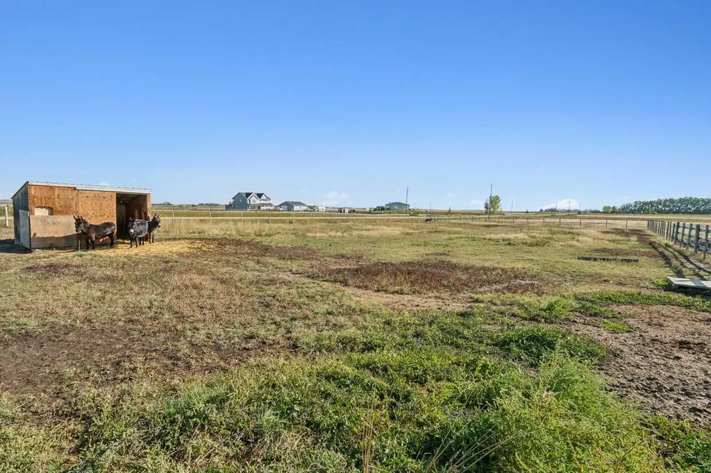 272187 Township Road 240 Rural Rocky View County AB T2P 2G7