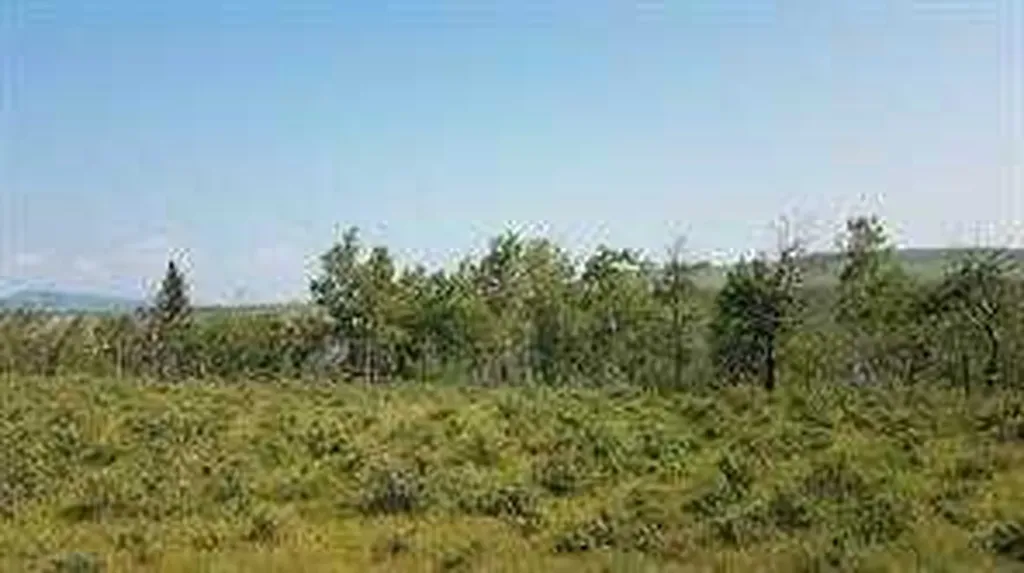 W-5.R-5,T-26,S-13,Q-SW And W-5,r-5,t-26, S-13, Q-s Rural Rocky View County AB T0L1N0
