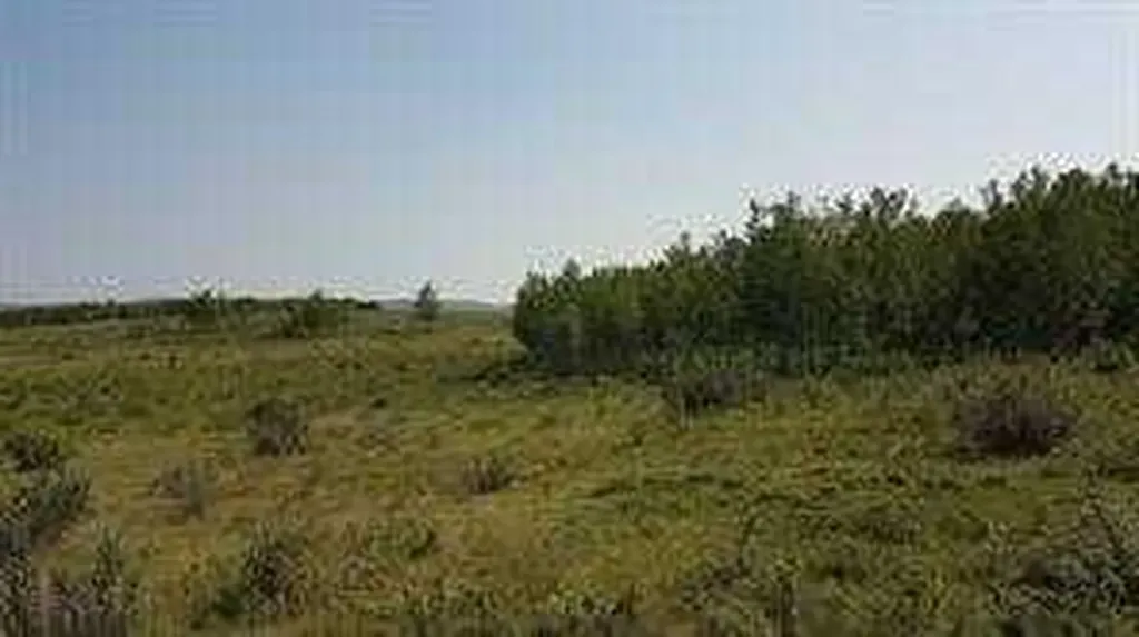 W-5.R-5,T-26,S-13,Q-SW And W-5,r-5,t-26, S-13, Q-s Rural Rocky View County AB T0L1N0