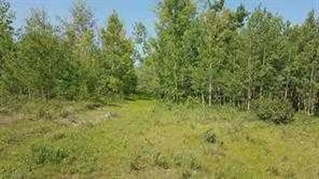 W-5.R-5,T-26,S-13,Q-SW And W-5,r-5,t-26, S-13, Q-s Rural Rocky View County AB T0L1N0