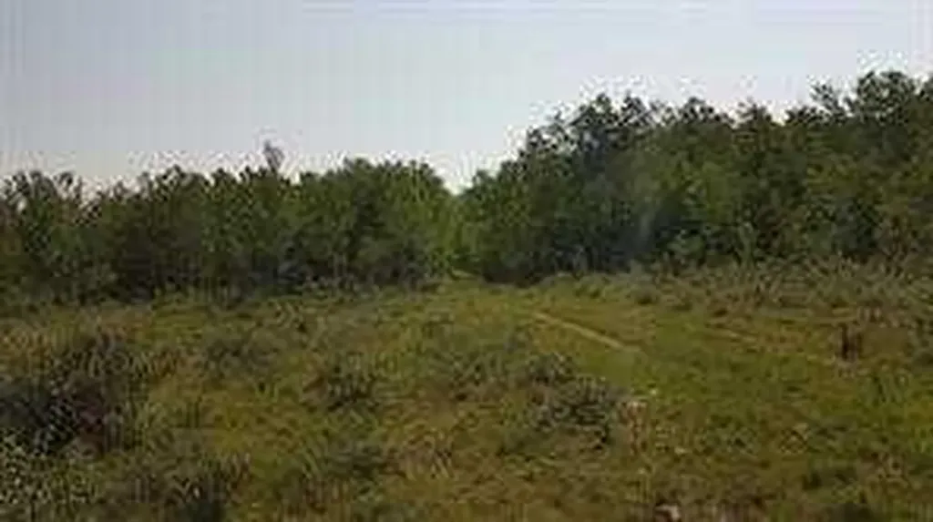 W-5.R-5,T-26,S-13,Q-SW And W-5,r-5,t-26, S-13, Q-s Rural Rocky View County AB T0L1N0
