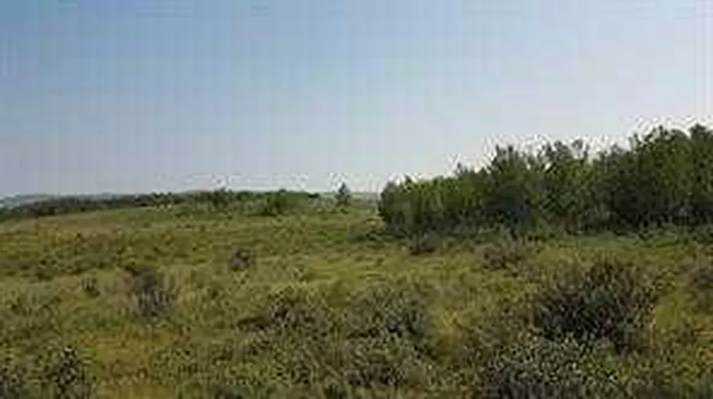 W-5.R-5,T-26,S-13,Q-SW And W-5,r-5,t-26, S-13, Q-s Rural Rocky View County AB T0L1N0