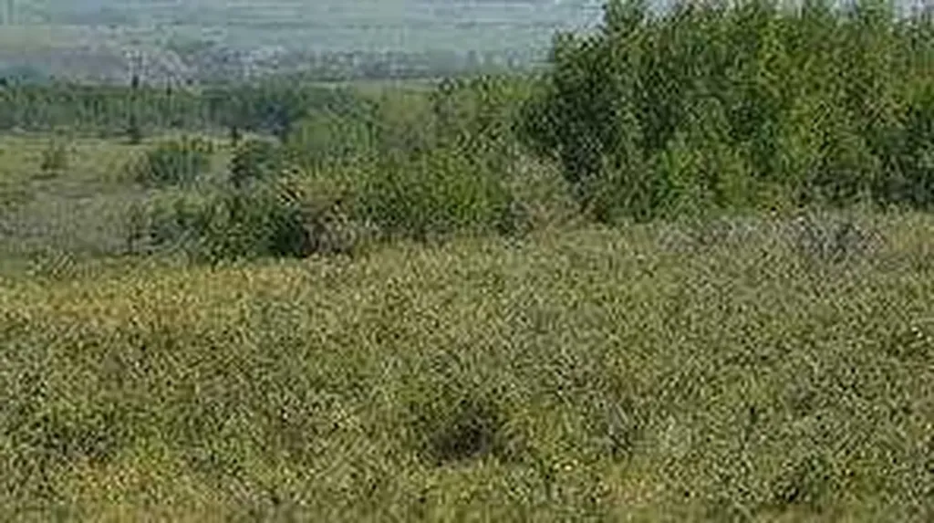 W-5.R-5,T-26,S-13,Q-SW And W-5,r-5,t-26, S-13, Q-s Rural Rocky View County AB T0L1N0