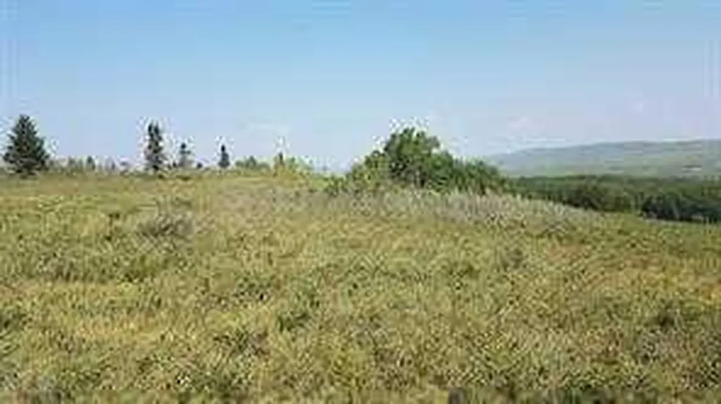W-5.R-5,T-26,S-13,Q-SW And W-5,r-5,t-26, S-13, Q-s Rural Rocky View County AB T0L1N0