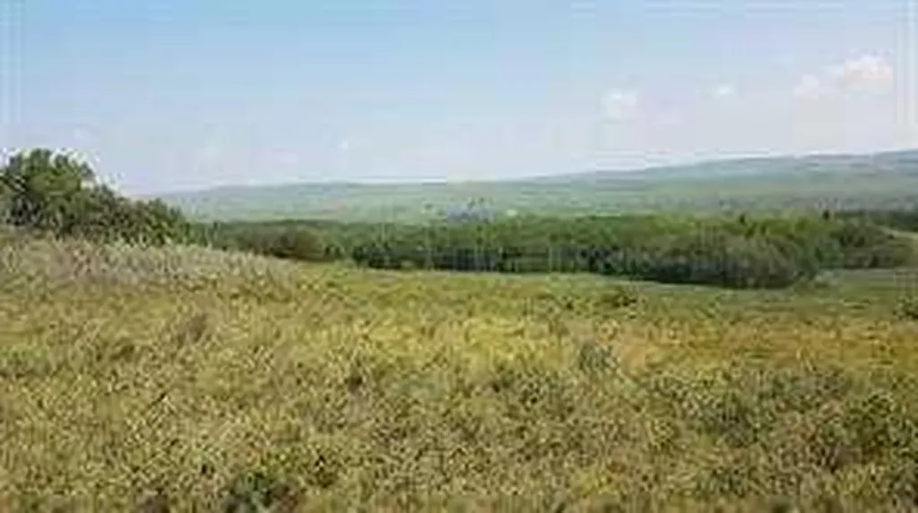 W-5.R-5,T-26,S-13,Q-SW And W-5,r-5,t-26, S-13, Q-s Rural Rocky View County AB T0L1N0