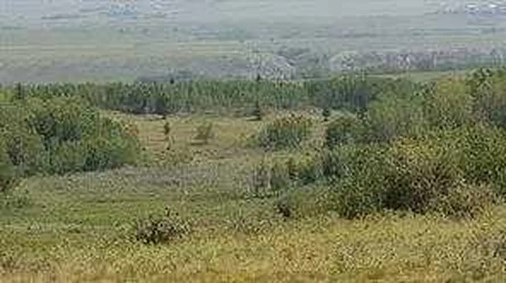 W-5.R-5,T-26,S-13,Q-SW And W-5,r-5,t-26, S-13, Q-s Rural Rocky View County AB T0L1N0