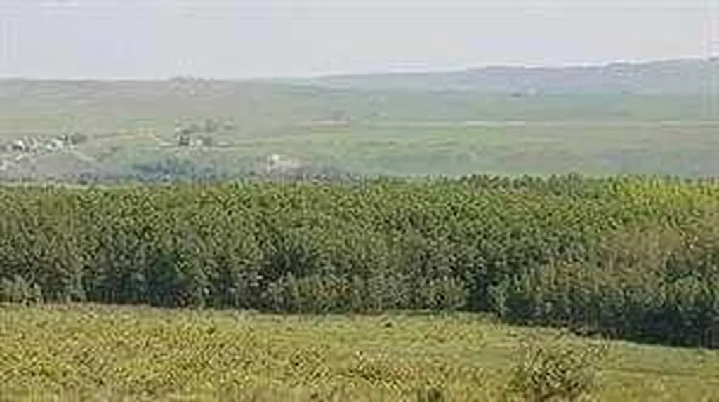 W-5.R-5,T-26,S-13,Q-SW And W-5,r-5,t-26, S-13, Q-s Rural Rocky View County AB T0L1N0
