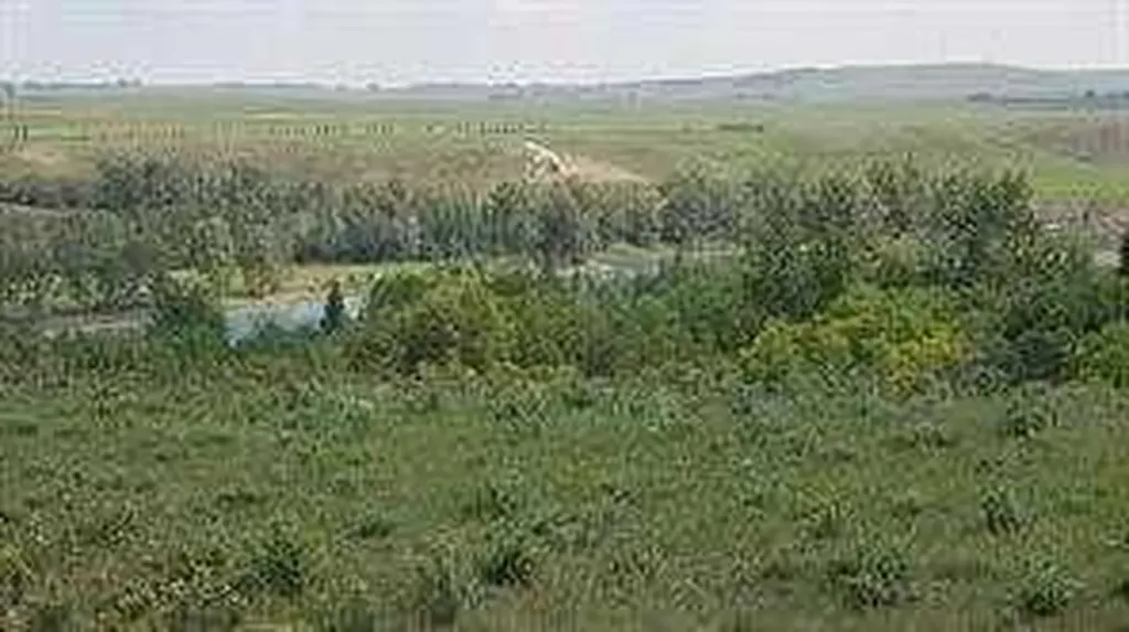 W-5.R-5,T-26,S-13,Q-SW And W-5,r-5,t-26, S-13, Q-s Rural Rocky View County AB T0L1N0