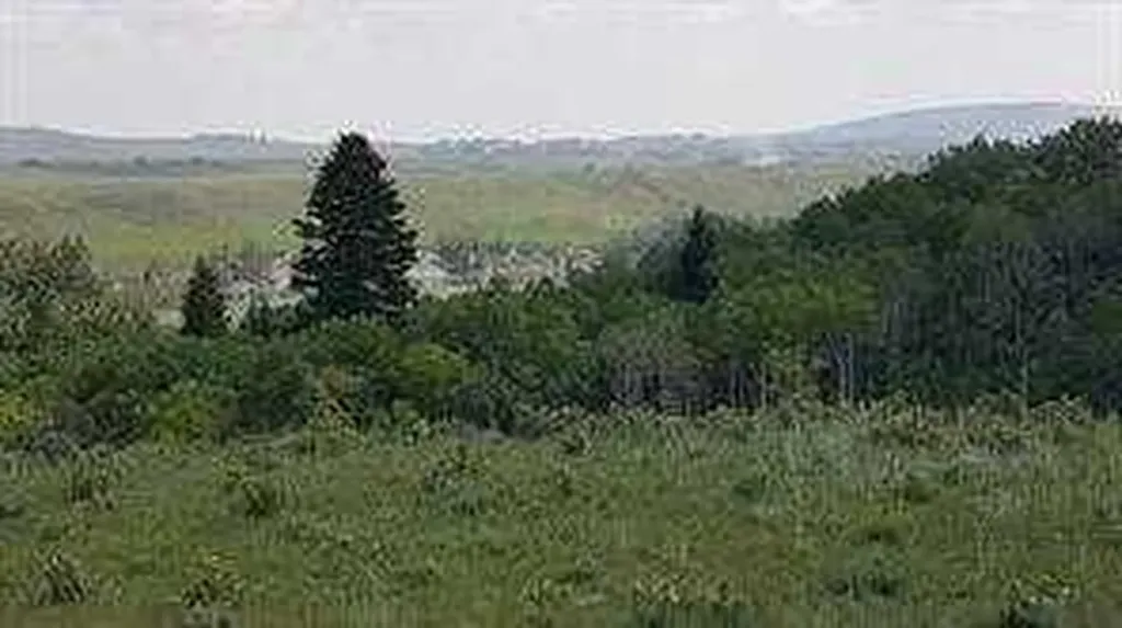 W-5.R-5,T-26,S-13,Q-SW And W-5,r-5,t-26, S-13, Q-s Rural Rocky View County AB T0L1N0