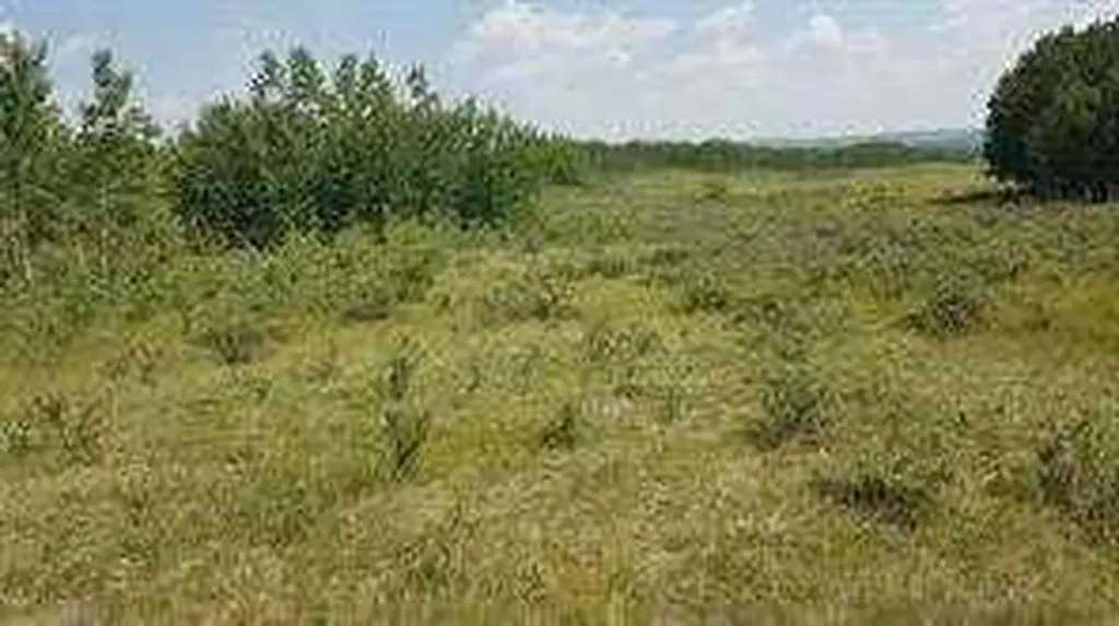 W-5.R-5,T-26,S-13,Q-SW And W-5,r-5,t-26, S-13, Q-s Rural Rocky View County AB T0L1N0