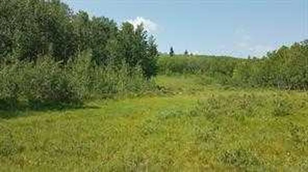 W-5.R-5,T-26,S-13,Q-SW And W-5,r-5,t-26, S-13, Q-s Rural Rocky View County AB T0L1N0