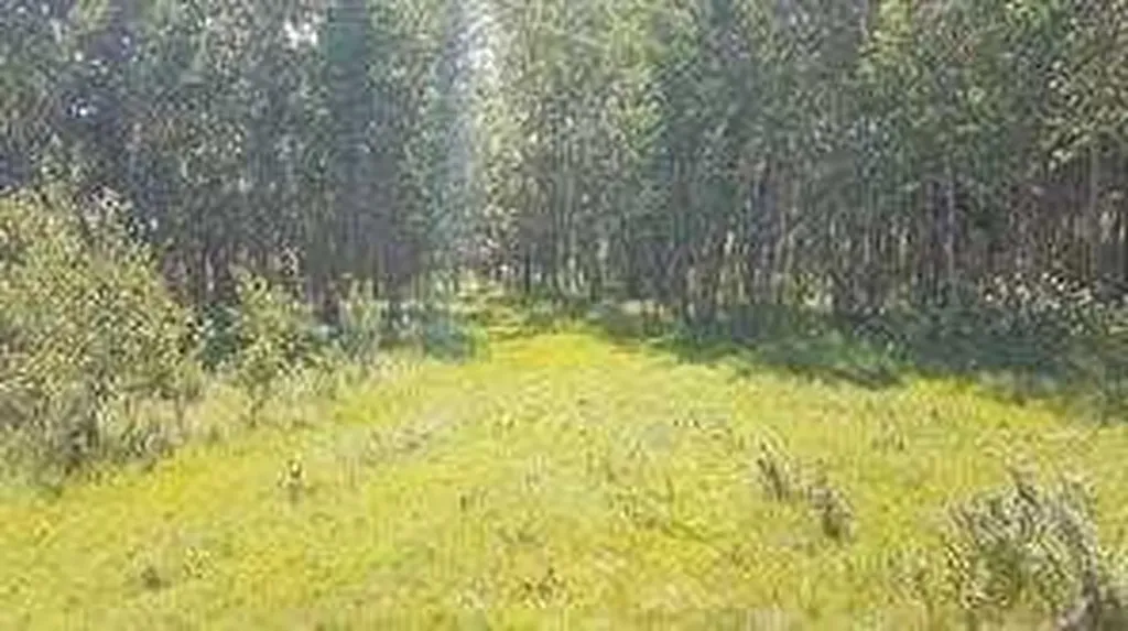 W-5.R-5,T-26,S-13,Q-SW And W-5,r-5,t-26, S-13, Q-s Rural Rocky View County AB T0L1N0
