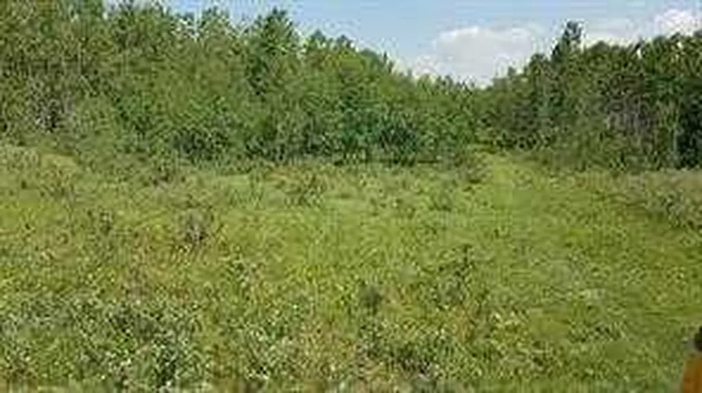 W-5.R-5,T-26,S-13,Q-SW And W-5,r-5,t-26, S-13, Q-s Rural Rocky View County AB T0L1N0