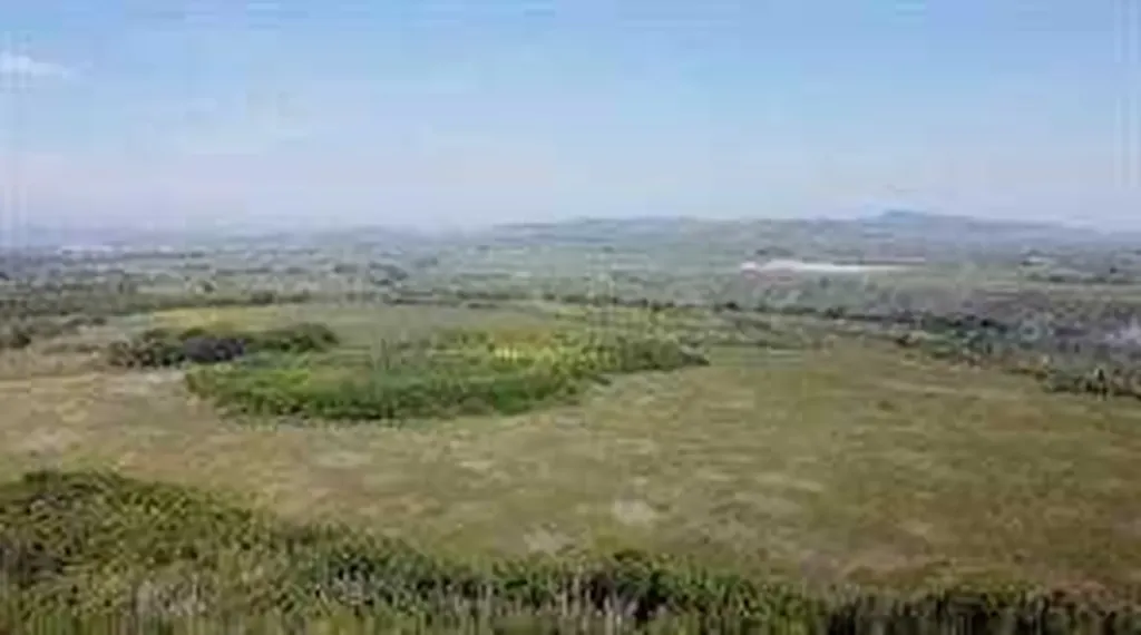 W-5.R-5,T-26,S-13,Q-SW And W-5,r-5,t-26, S-13, Q-s Rural Rocky View County AB T0L1N0