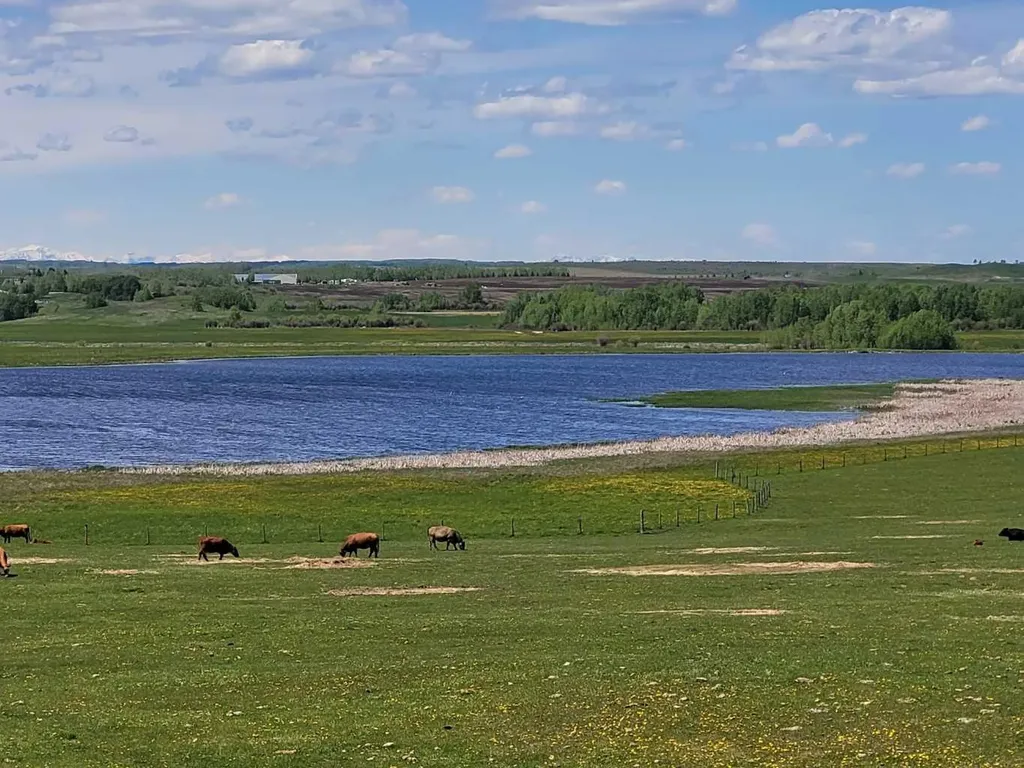 272065 Lochend Road Rural Rocky View County AB T0M 1L0