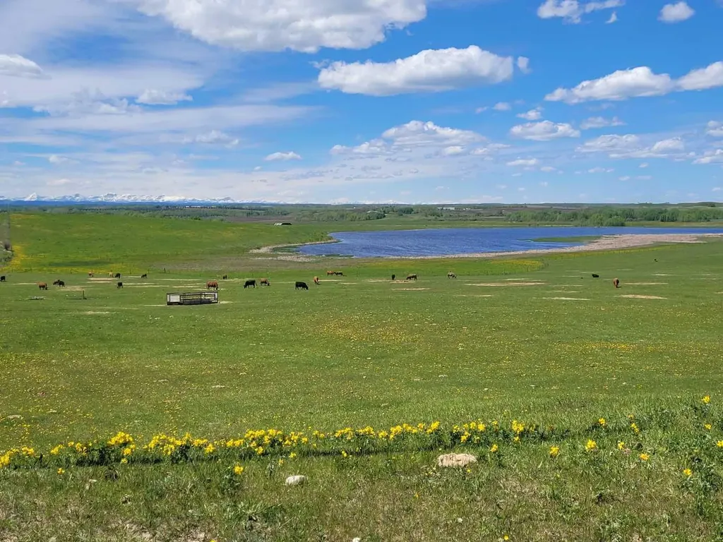 272065 Lochend Road Rural Rocky View County AB T0M 1L0