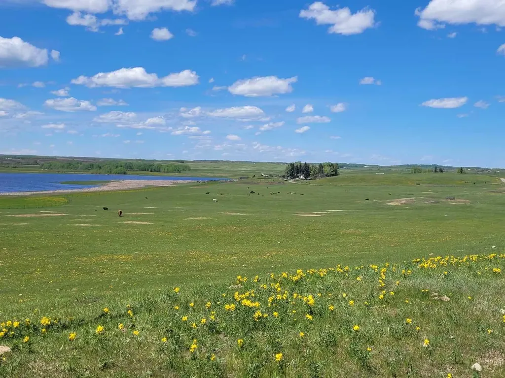 272065 Lochend Road Rural Rocky View County AB T0M 1L0