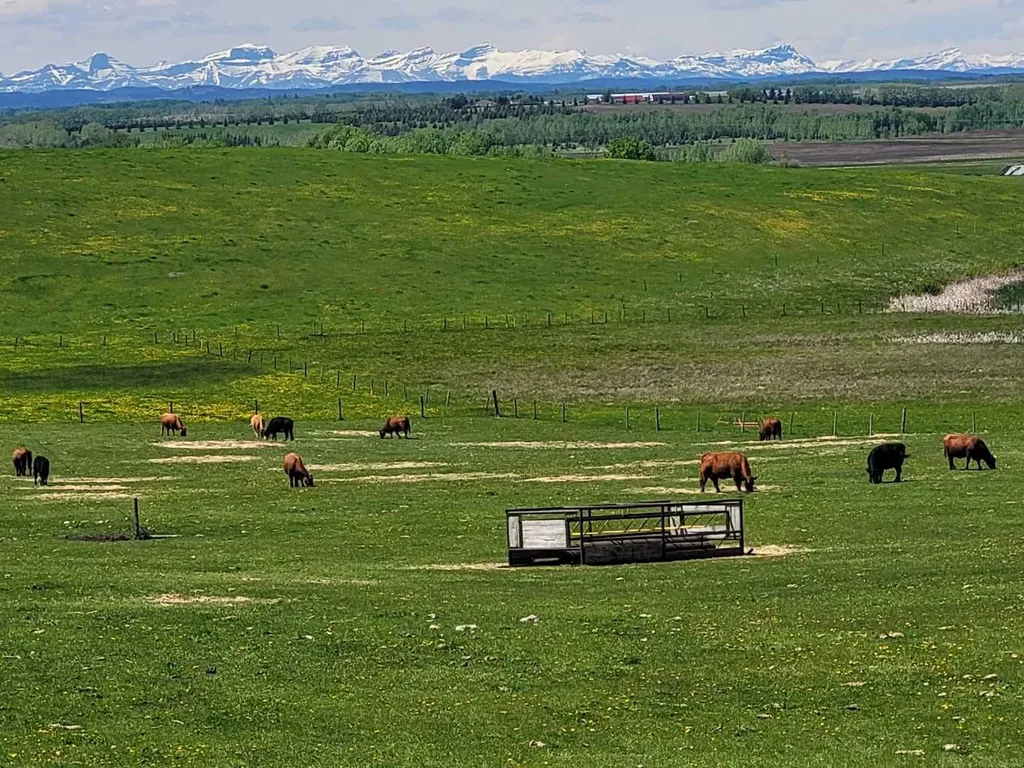 272065 Lochend Road Rural Rocky View County AB T0M 1L0