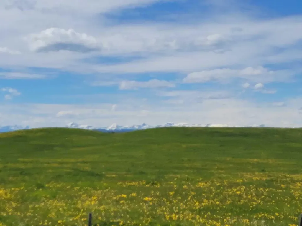 272065 Lochend Road Rural Rocky View County AB T0M 1L0