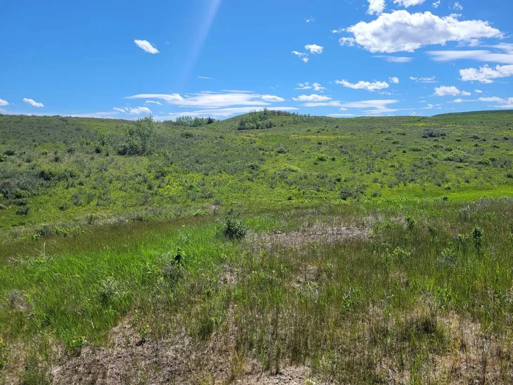 272065 Lochend Road Rural Rocky View County AB T0M 1L0