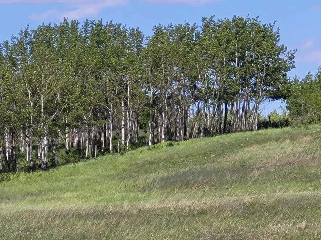 272065 Lochend Road Rural Rocky View County AB T0M 1L0