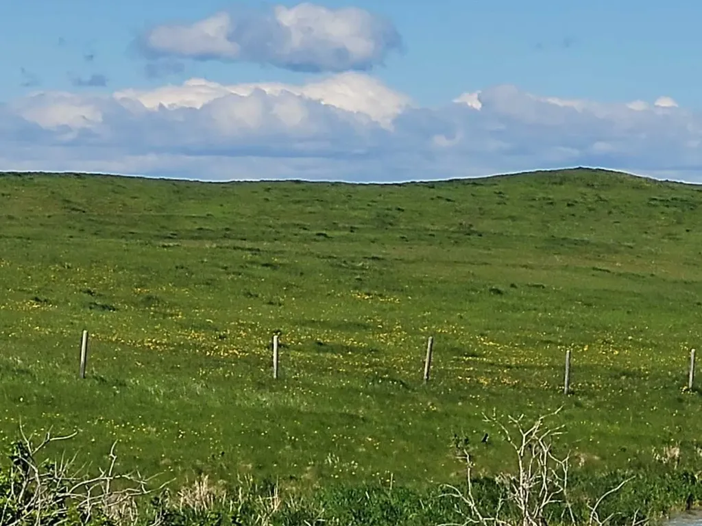 W-5,R-3,T-27,S-22, SE Lochend Road NW Rural Rocky View County AB T0M1L0