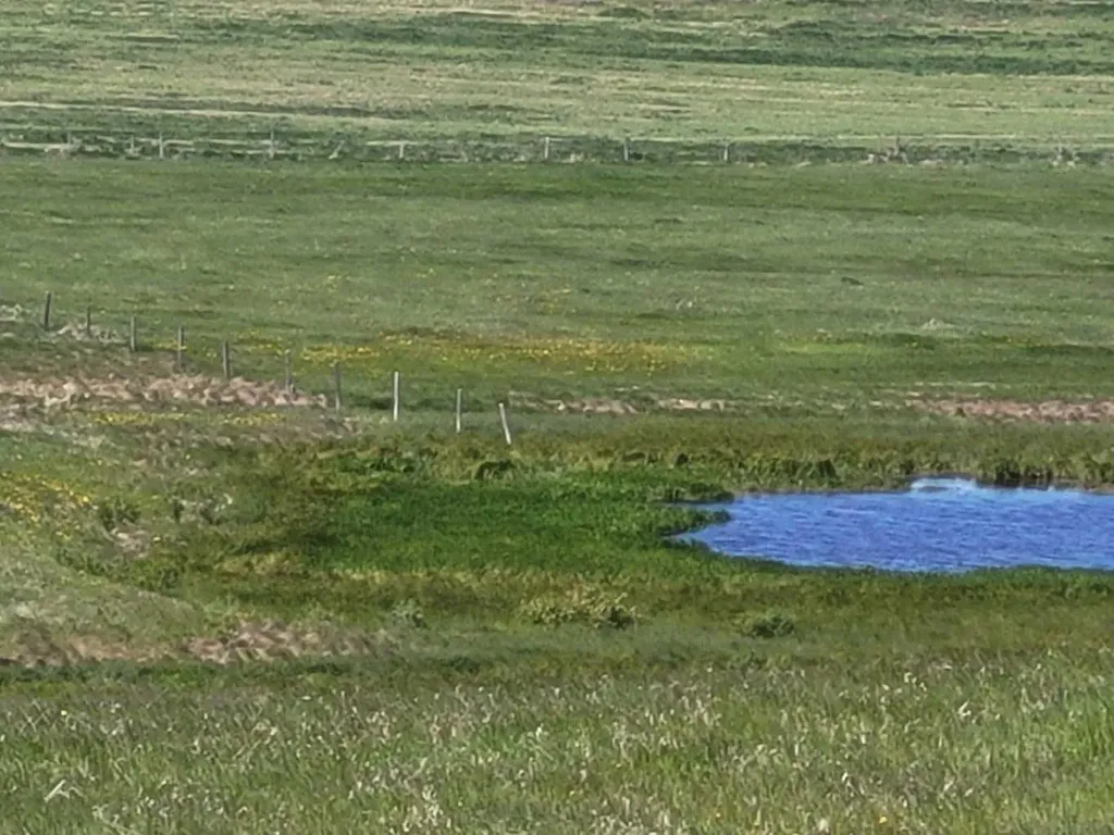 W-5,R-3,T-27,S-22, SE Lochend Road NW Rural Rocky View County AB T0M1L0