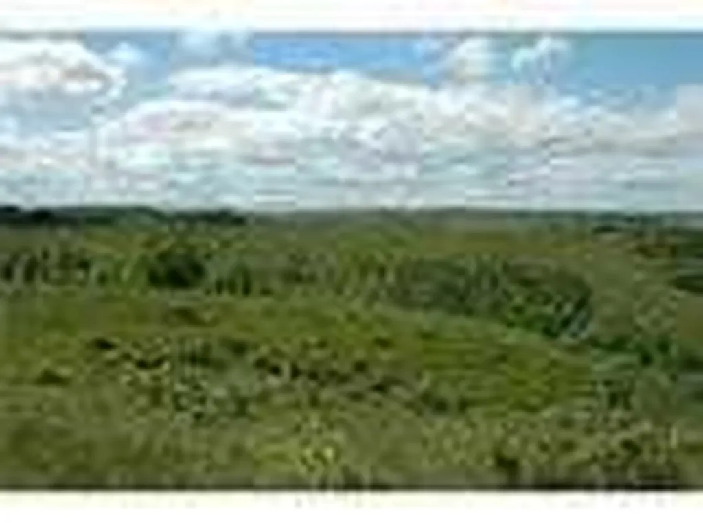 W-5.R-3,T-26,S-22, Q-sw Lochend Road NW Rural Rocky View County AB T4C 2B3