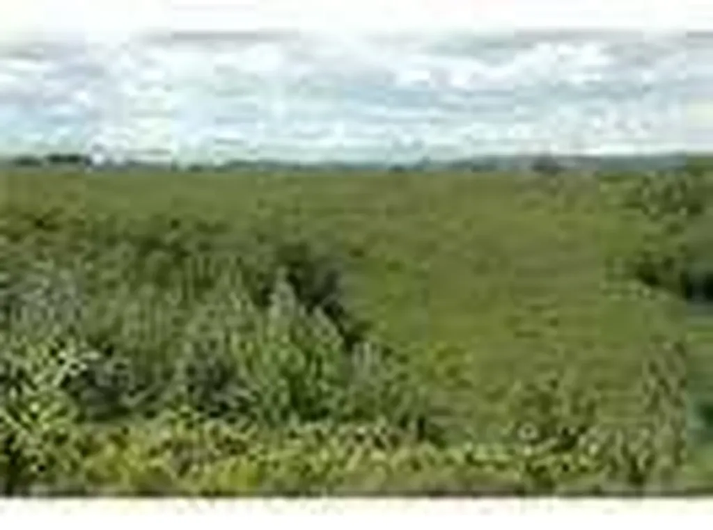 W-5.R-3,T-26,S-22, Q-sw Lochend Road NW Rural Rocky View County AB T4C 2B3