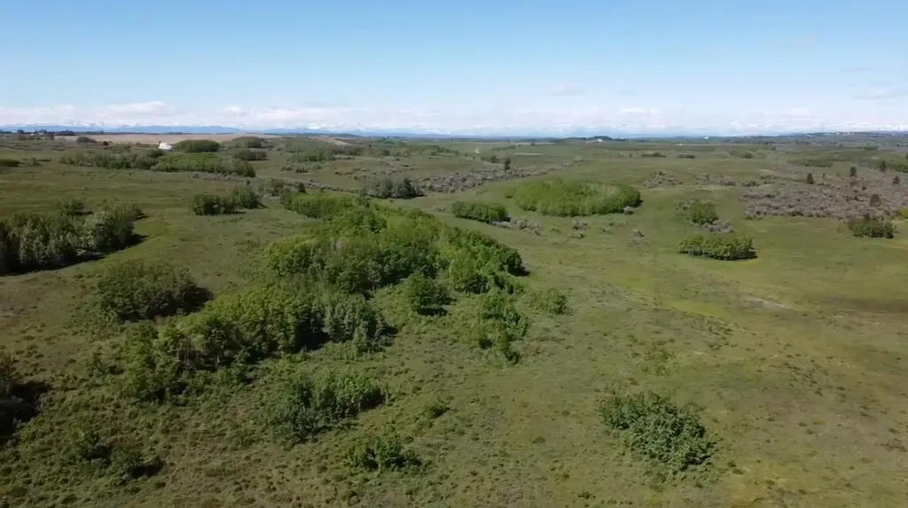 W-5.R-3,T-26,S-22, Q-sw Lochend Road NW Rural Rocky View County AB T4C 2B3