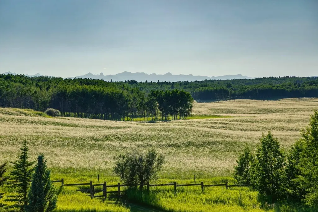 218 Grizzly Rise Rural Rocky View County AB T4C 0B5