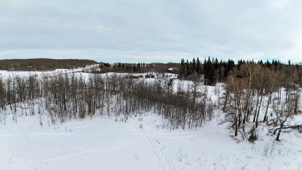 15015 Township Road 424 Rural Ponoka County AB T0B 0H0