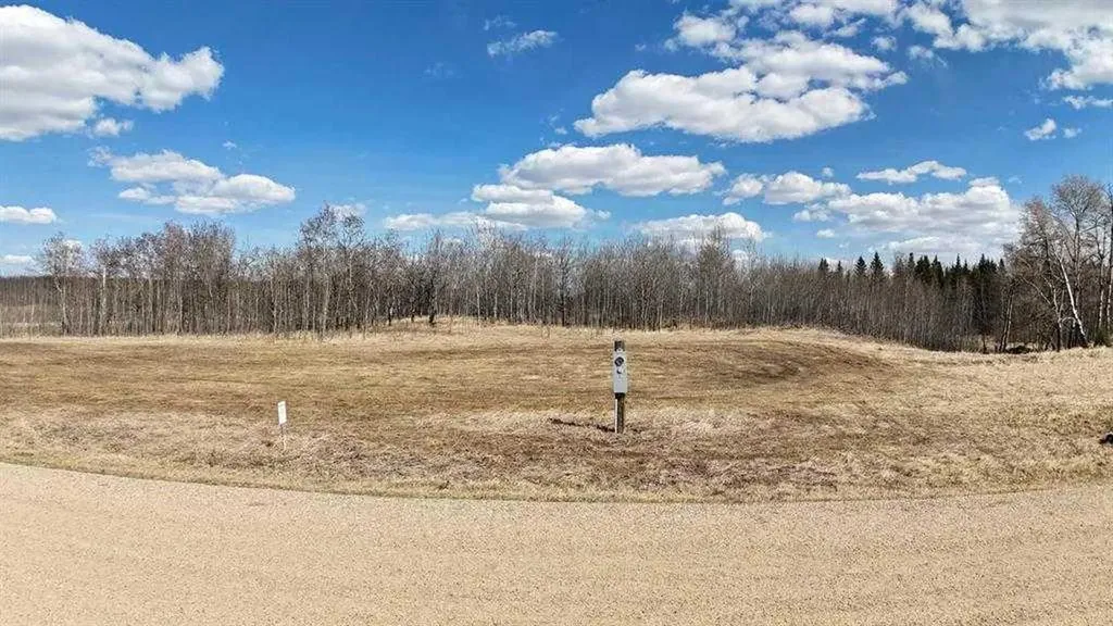 15015 Township Road 424 Rural Ponoka County AB T0B 0H0