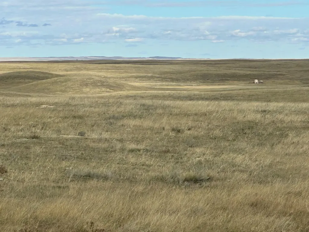 0N Highway 886 W Cereal AB T0J 0N0